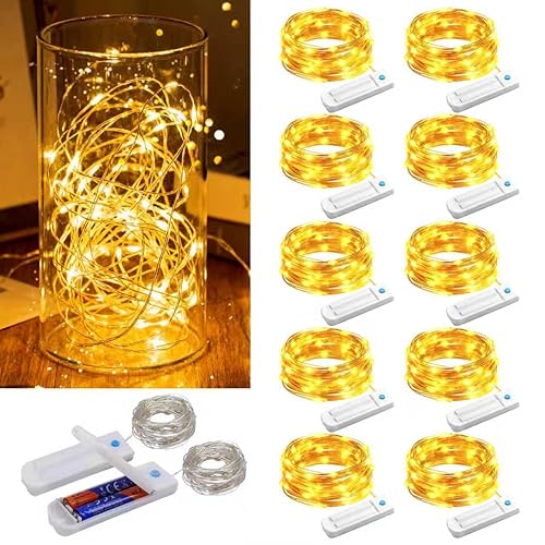 ZNYCYE 10 Pack Fairy Lights with Timer,10 ft 30 LED