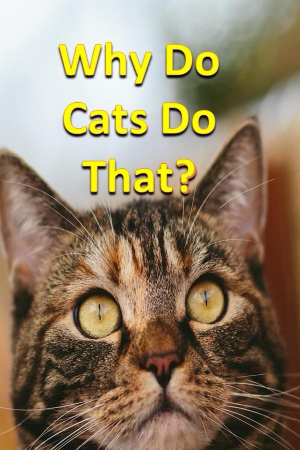 Why Do Cats Do That? (Animals)