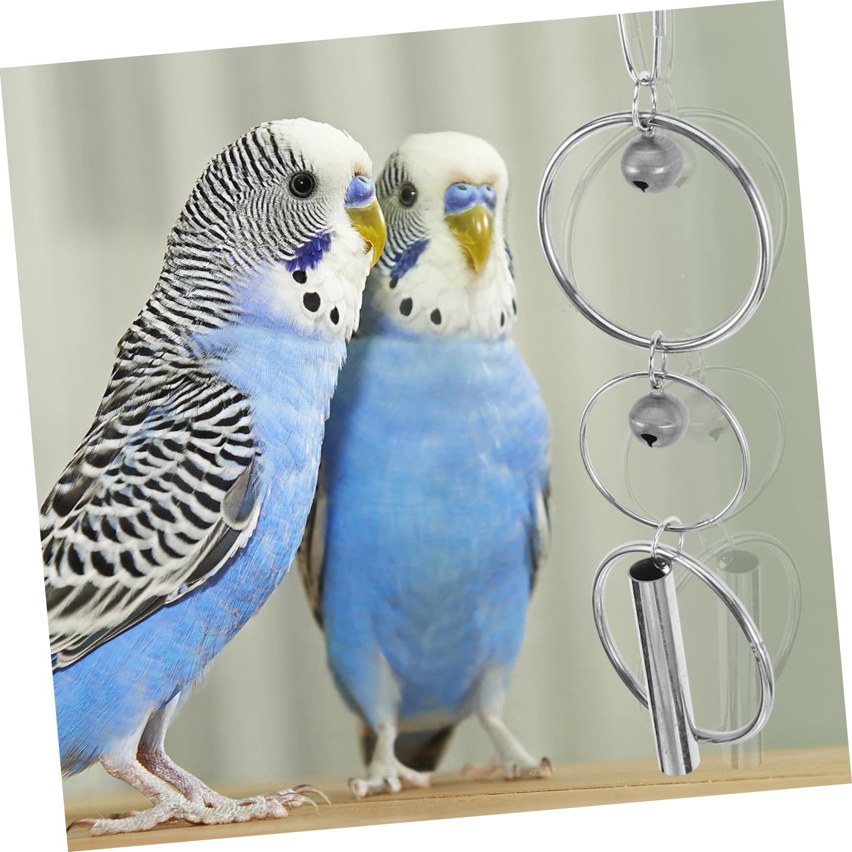 Yardwe 5stücke Parakeeten Spielzeug Mit Hängendes Vogelspielzeug Für Papageien Und Wellensittiche Und Langlebig Für Käfige Kauspielzeug