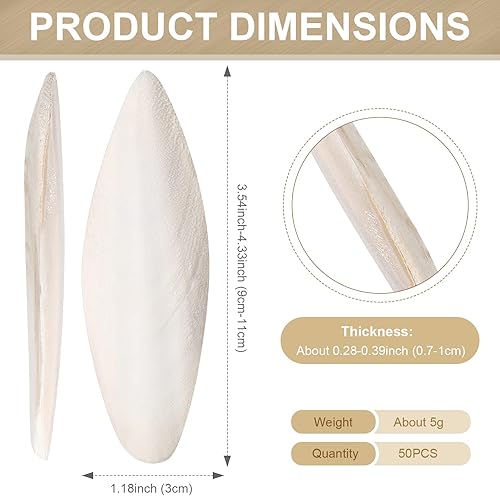 Miniatura 2 de Fabbay 50 piezas de Cuttlebone para pájaro a granel hueso natural para periquitos, tortugas, caracoles 3.54-4.33 hueso masticable, piedra de calcio