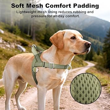 No Pull Dog Harness with Handle, Adjustable Soft Mesh Padded Vest