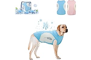 DELIFUR Dog Cooling Shirt: Keep Your Furry Friend Cool This Summer