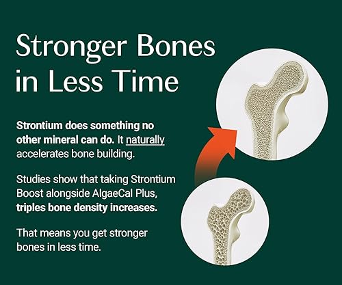 Miniatura 5 de AlgaeCal - Potenciador de estroncio, suplemento de estroncio natural para aumentar la densidad ósea, citrato de estroncio 680 mg, fácil de tragar