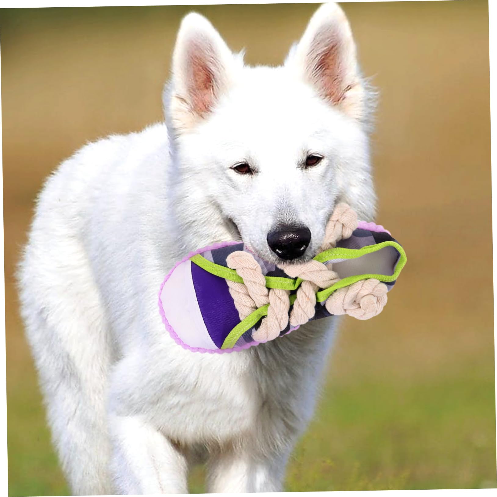 COLLBATH Jouet à Mâcher pour Chiens Forme Chaussure en Toile Corde en Coton Résistant aux Morsures Jouet Qui Couine pour Chiots et Chiens Moyens