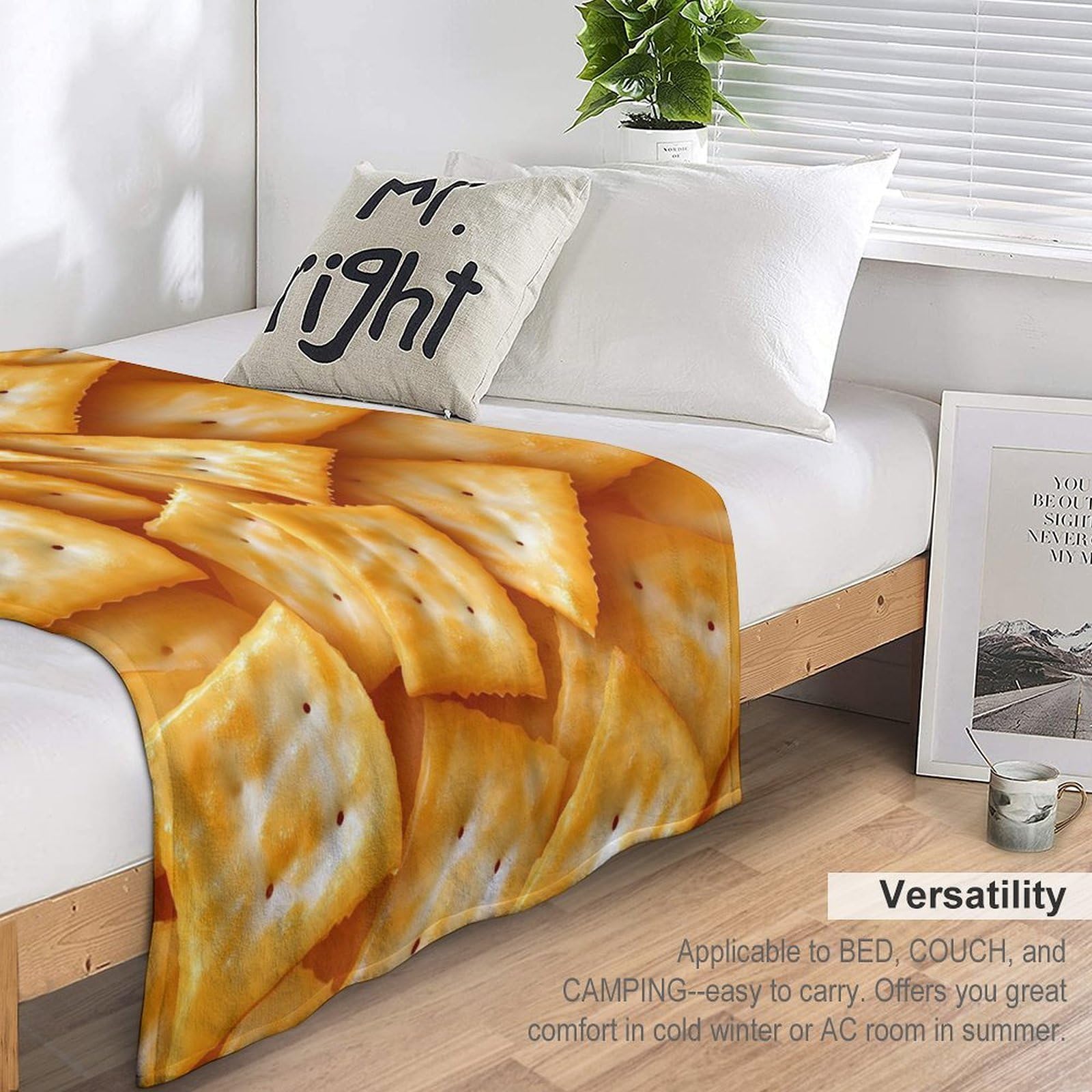 Salted Soda Crackers, leichte Überwurfdecke für Bett, Couch, weiche Flanelldecken, groß, warm, Plüsch-Überwurf, 127 x 177,8 cm