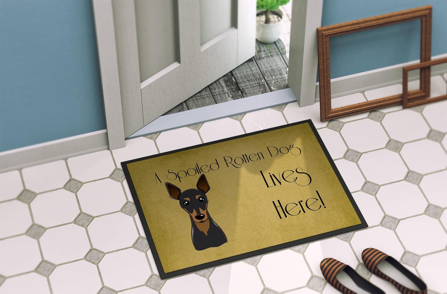 Caroline's Treasures BB1488JMAT Min Pin Spoiled Dog Lives Here Doormat 24x36 Front Door Mat Indoor Outdoor Rugs for Entryway, Non Slip Washable Low Pile, 24H X 36W