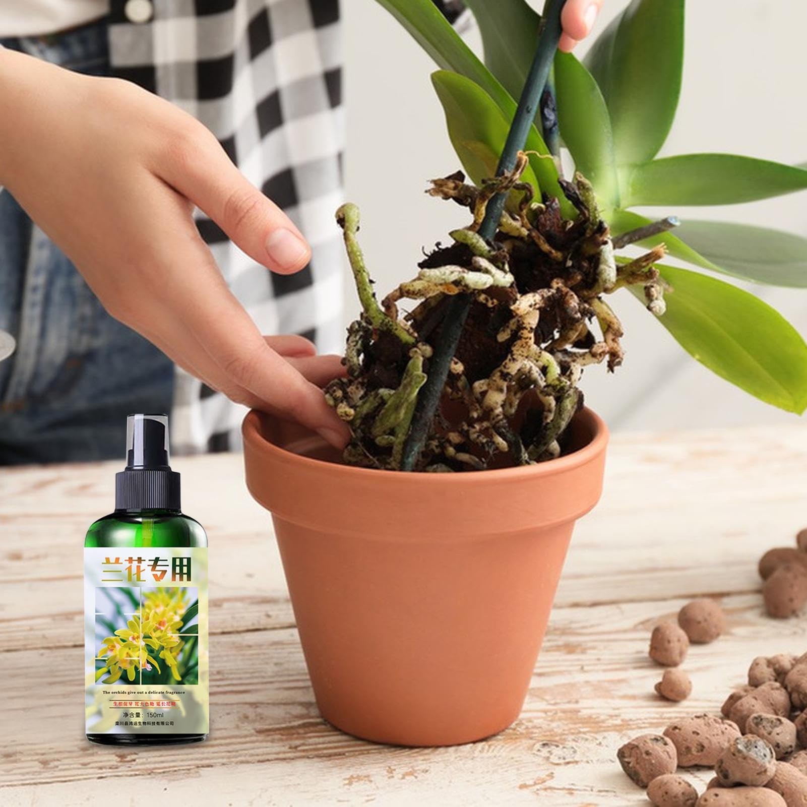Alimento para plantas de orquídeas | Fertilizante líquido de enraizamiento | Fertilizante líquido para orquídeas | Spray de niebla de orquídeas | Fertilizante natural para orquídeas | Niebla compacta