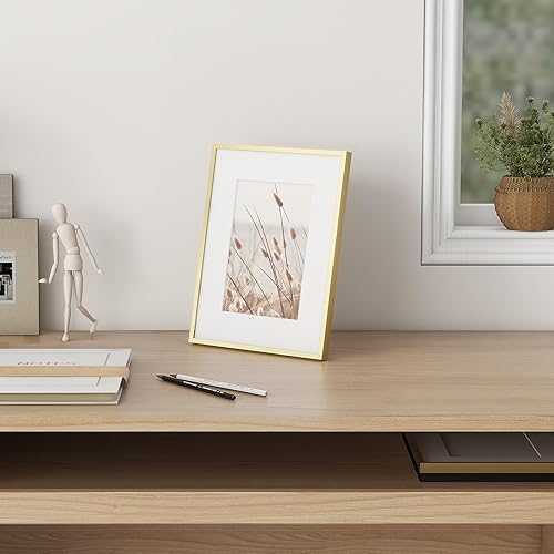 Miniatura 119 de Fun Memories Portarretratos de metal de 16 x 20 pulgadas con paspartú de 11 x 14 pulgadas, acabado de aluminio cepillado, parte delantera de vidrio