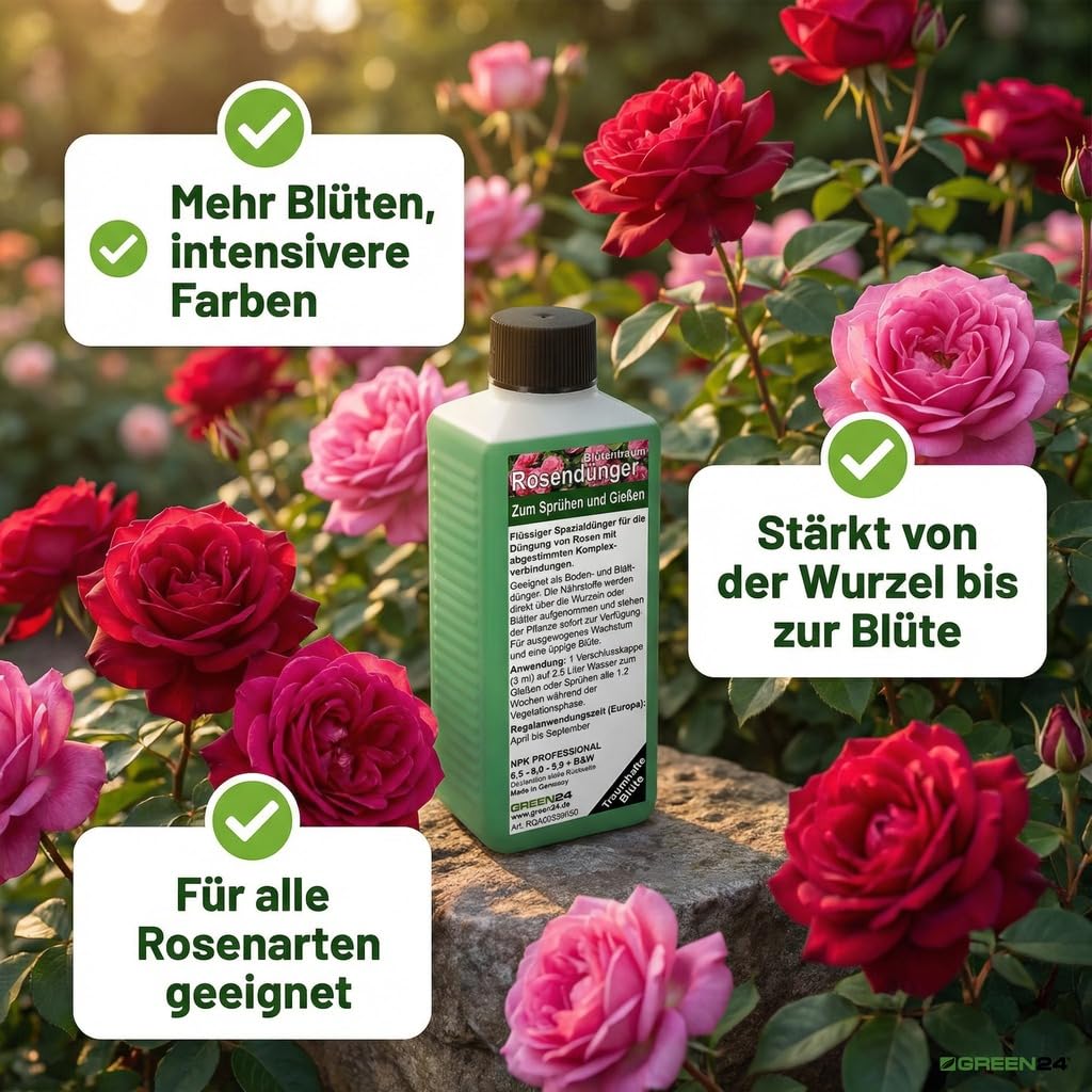 GREEN24 Engrais pour rosiers - Rose précieuse - Haute Technologie - Engrais pour Roses