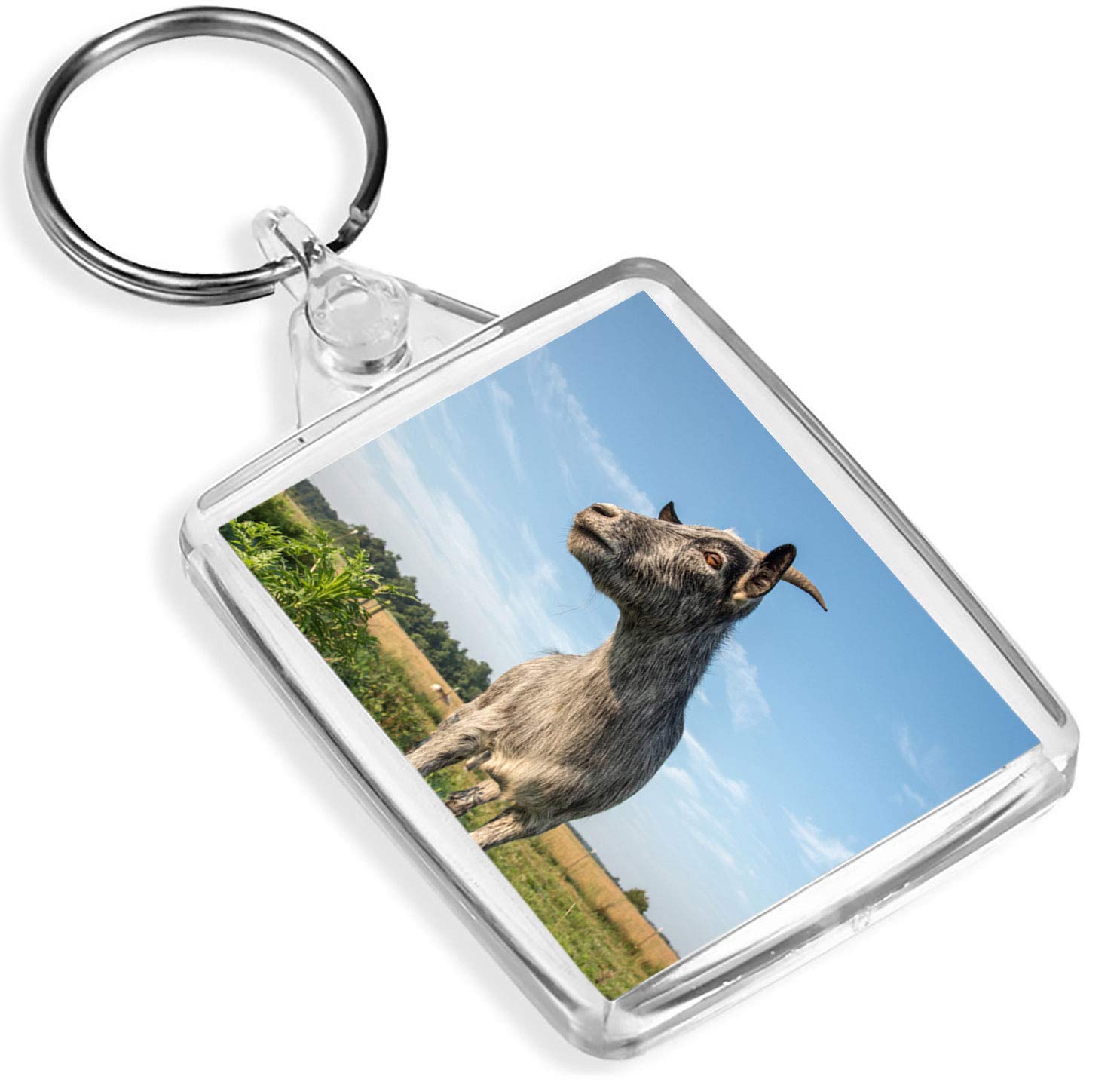 1 x Cute Grey Goat Farm Animal Outdoors - Keyring - IP02 - Mum Dad #3308