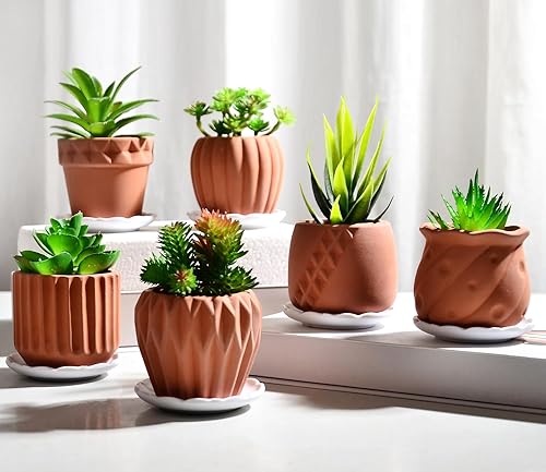 Miniatura 4 de B SEPOR Juego de 6 macetas de porcelana simples blancas para macetas pequeñas, cactus suculento para bebé, con drenaje y platillo para decoración