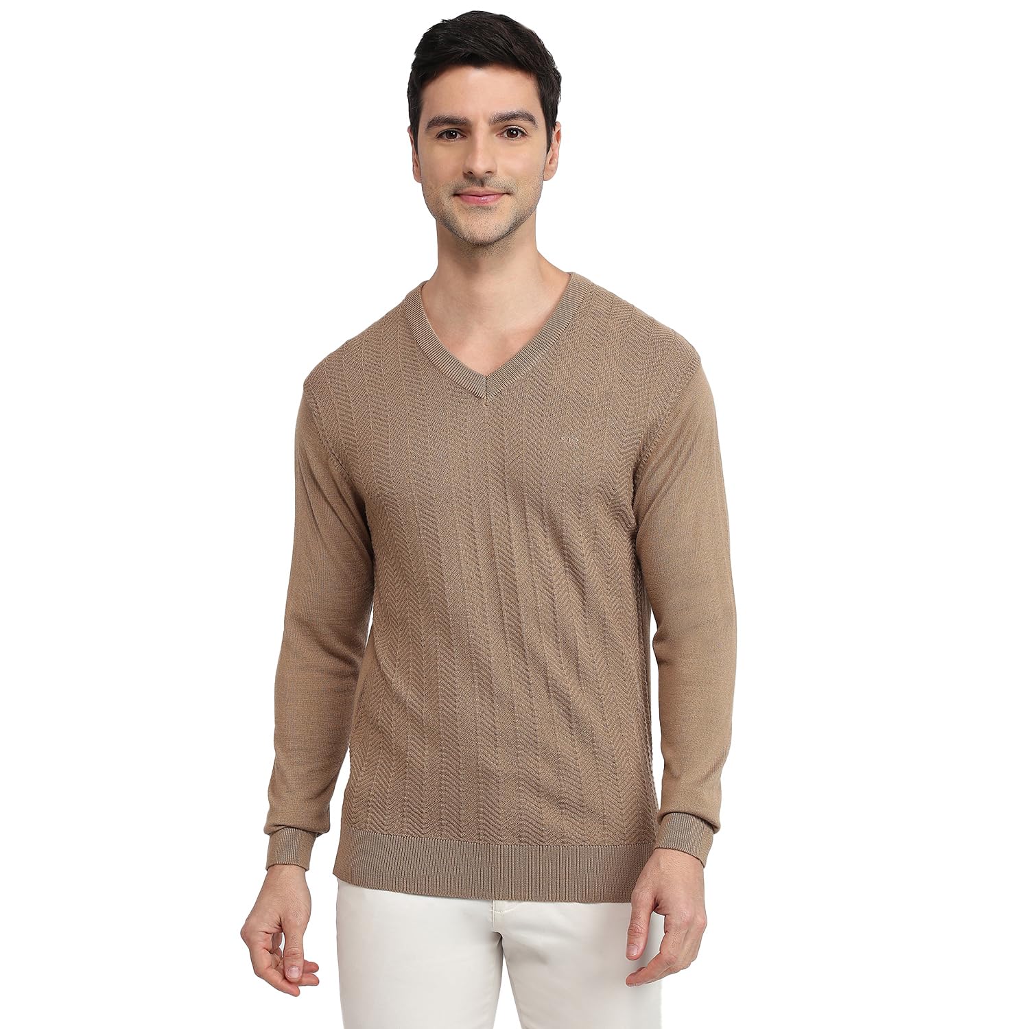 colorplus Men Regular Fit Structure Pattern Acrylic Wool Blend Full Sleeve V Neck Casual Sweater Brown-picture-38