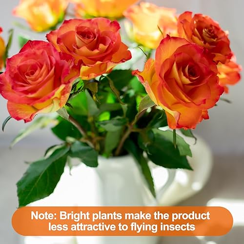 Miniatura 7 de 24 trampas adhesivas para moscas de la fruta, trampas para mosquitos de hongos, trampas para insectos para plantas, cocina, interiores y exteriores