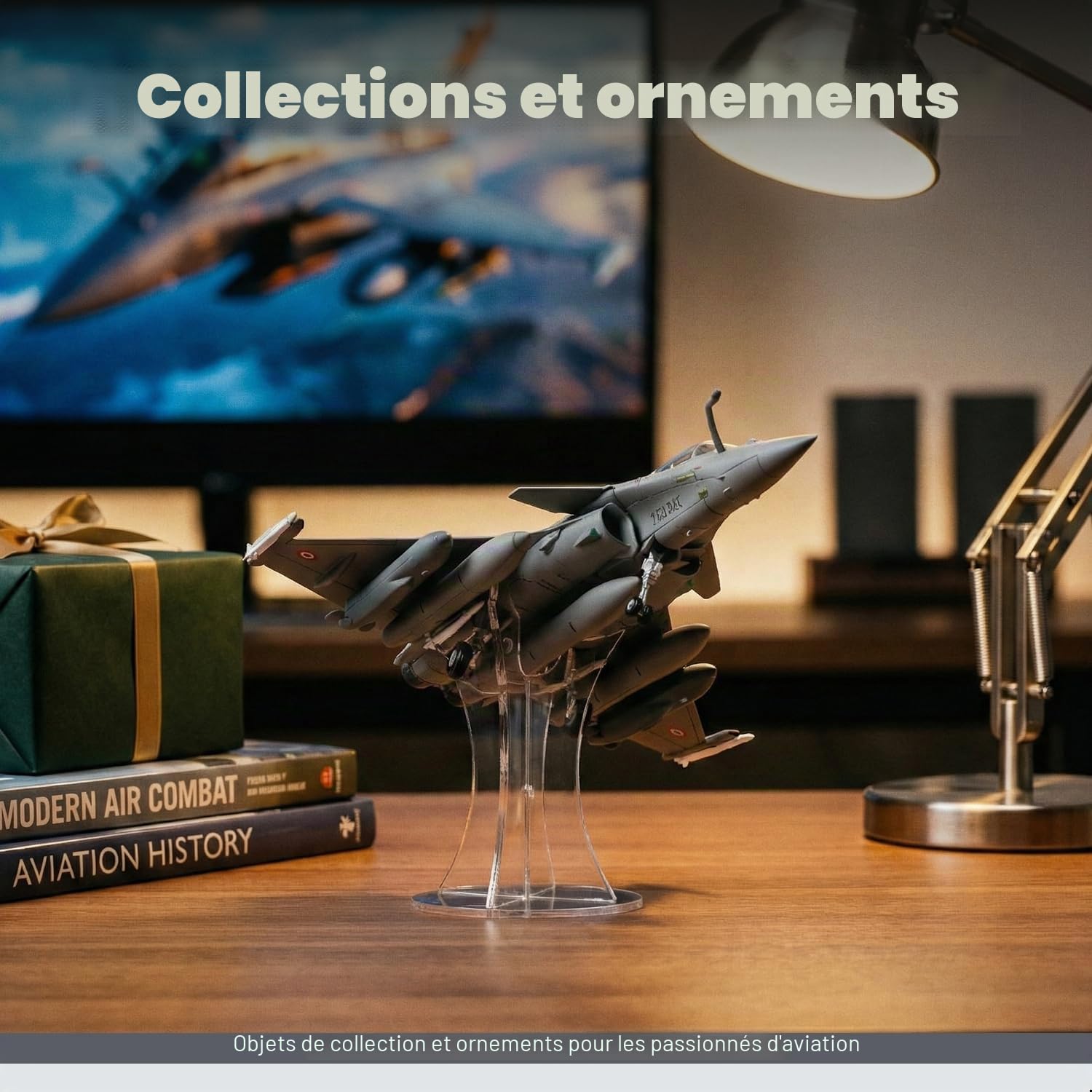 Modèle d'avion Rafale B à l'échelle 1/100, modèle Dassault de l'armée française de l'air et de l'espace multi-rôles, modèle miniature 113-HK en métal moulé sous pression pour adulte collection