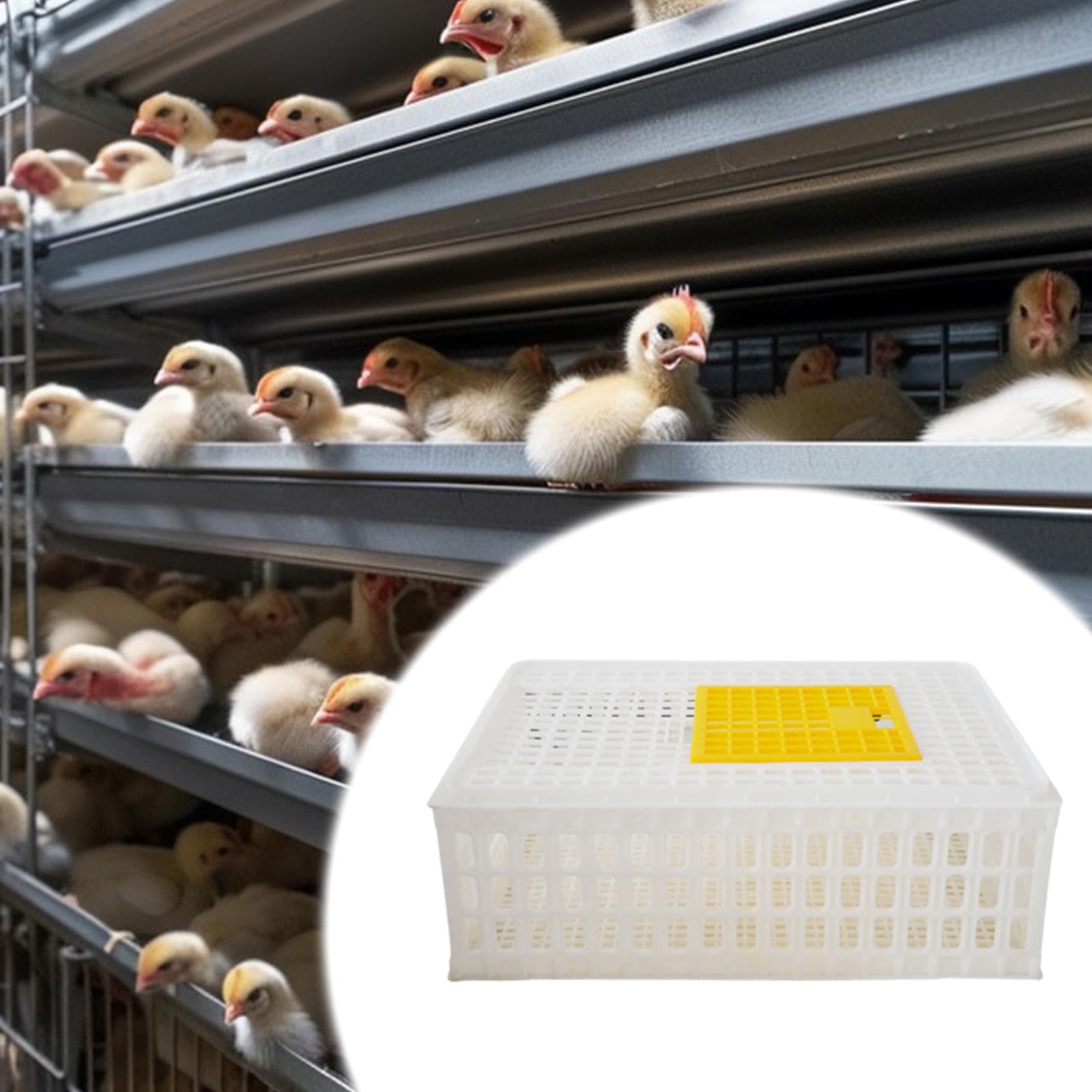 Jaula Transportadora para Aves de Corral, Cesta Transportadora Multiusos Apilable para Pollos, Hámsteres, Pájaros, Conejos Y Gansos, Blanco
