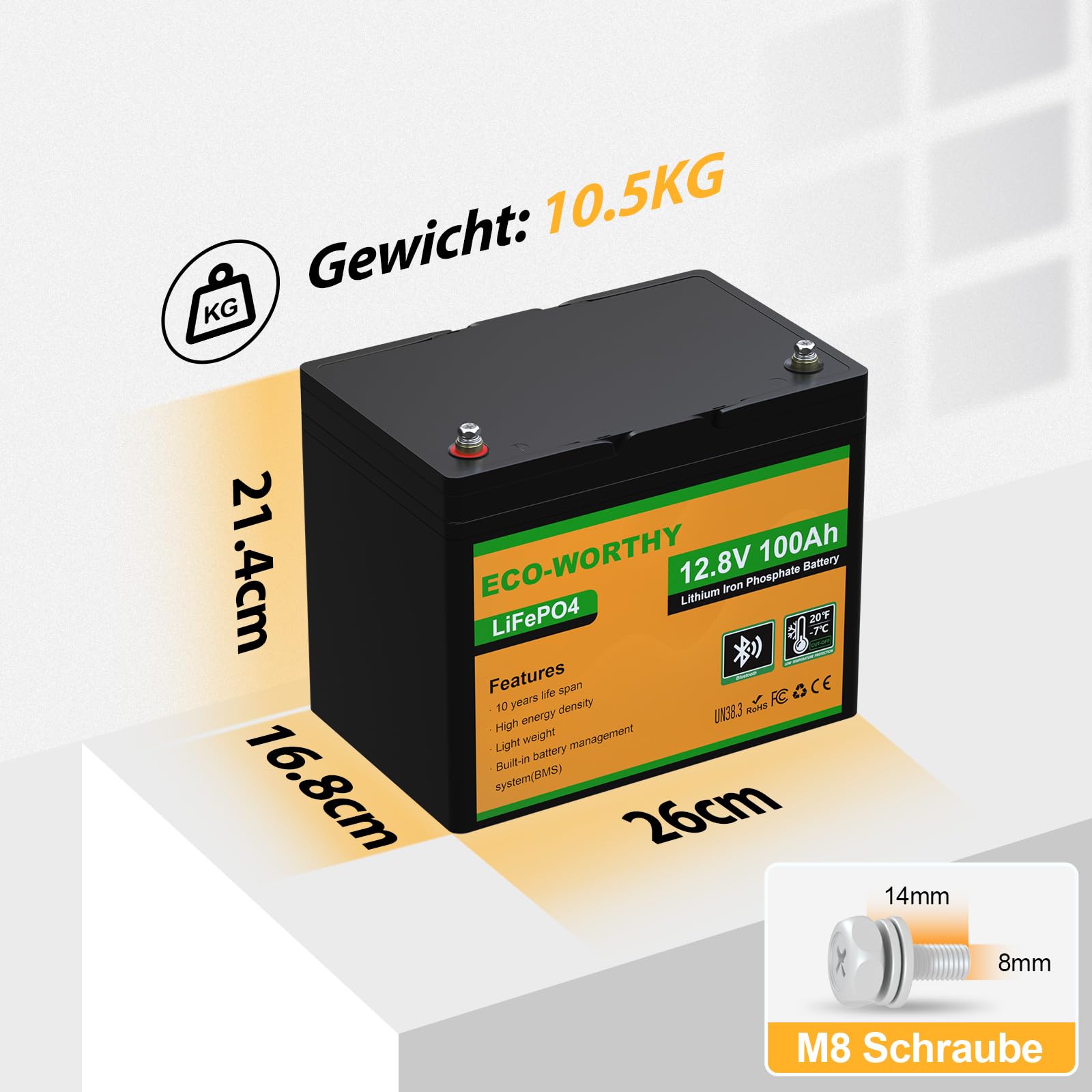 ECO-WORTHY LiFePO4 Bluetooth 12 V 100 Ah con Caricabatterie 12/24 V 20 A, batteria al litio 12 V 100 Ah con protezione BMS a bassa temperatura per camper, barche, roulotte