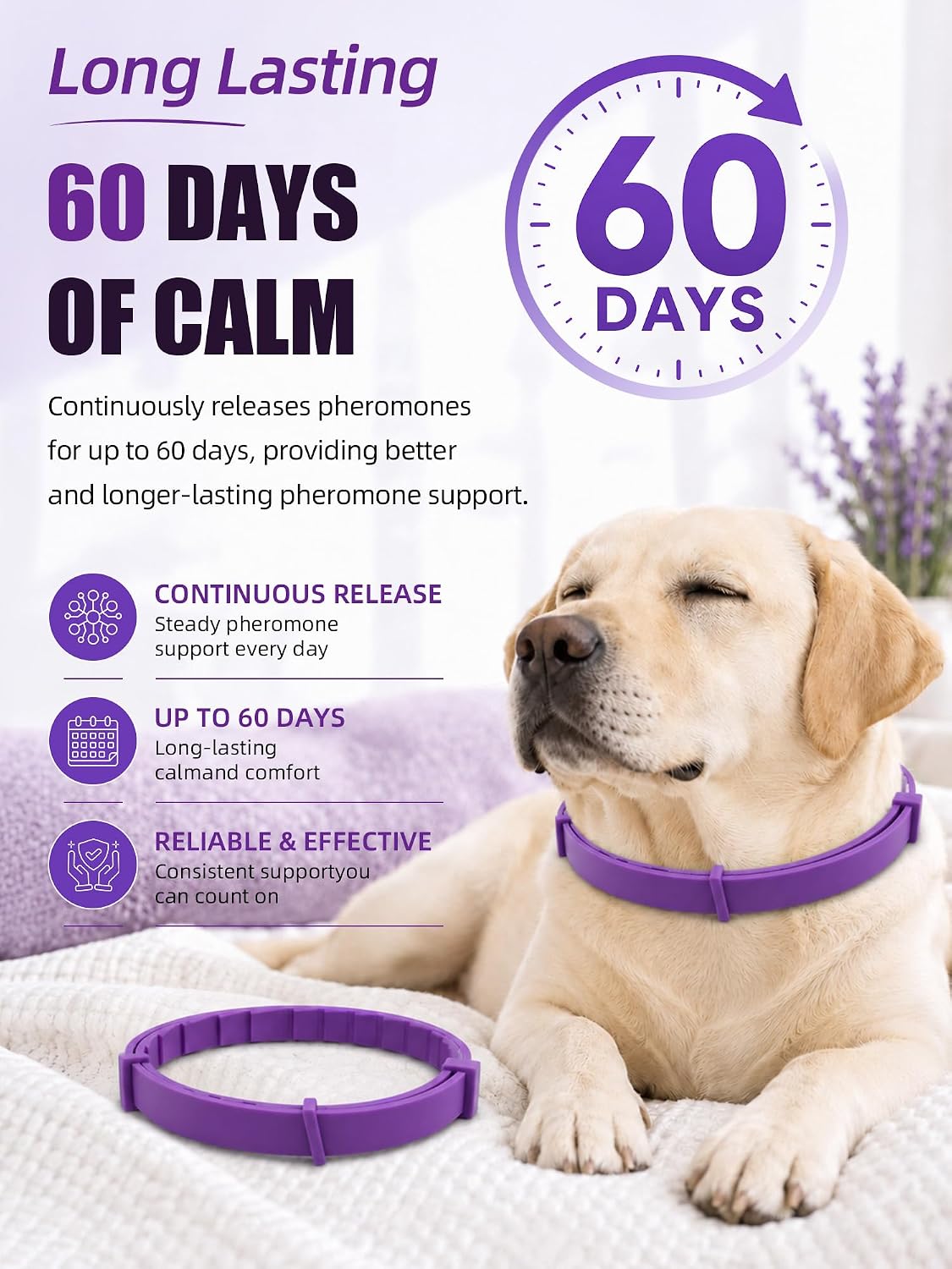 Calming Collar for Dogs 4 Pack, Waterproof Dog Calming Collar for Anxiety and Stress Relief, Long-Lasting 60-Day Pheromone Collars for Dog, Adjustable for Medium Big Dogs (Purple, Large)