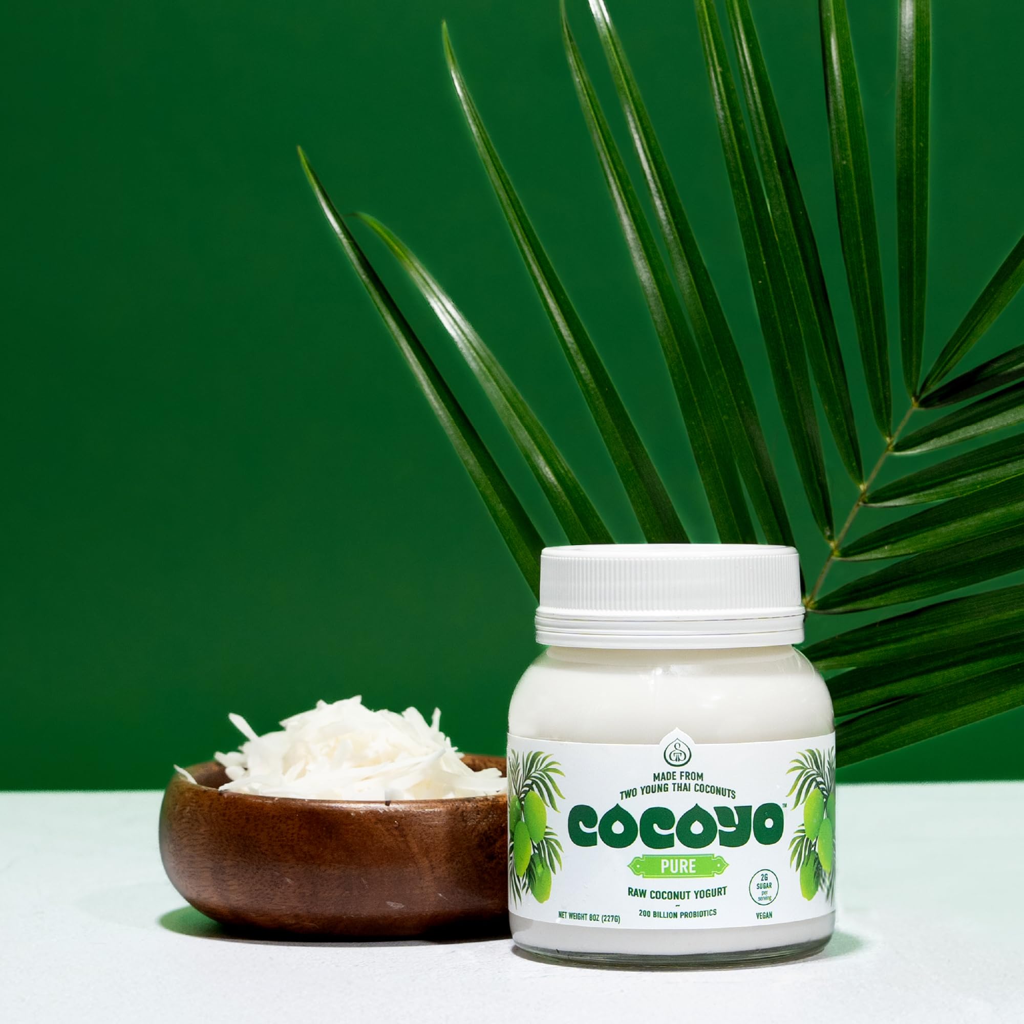 COCOYO Living Coconut Yogurt - 8 oz - Probiotic Yogurt for Gut