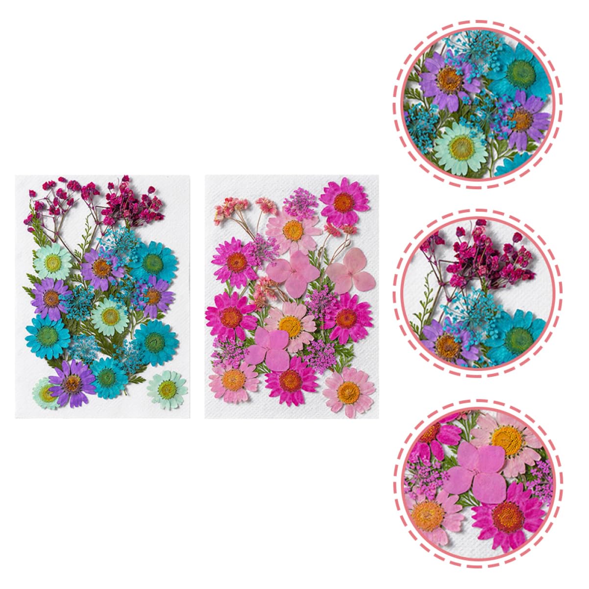 VILLCASE 200pièces Fleurs Séchées Naturelles pour Artisanat Matériaux Décoratifs pour Projets Créatifs Échantillons De Plantes Pressées Accessoires Manuels Décoration Unique Et
