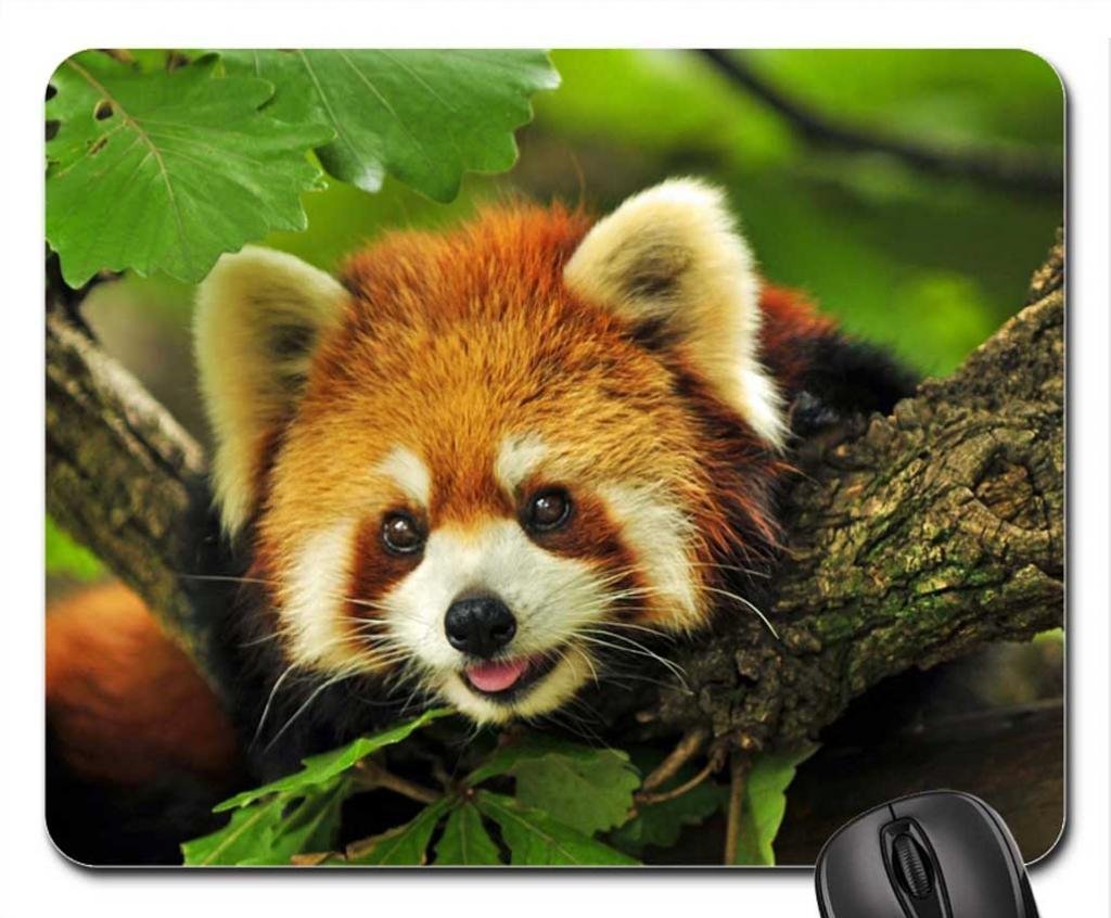 Red panda Mouse Pad, Mousepad (Bears Mouse Pad)