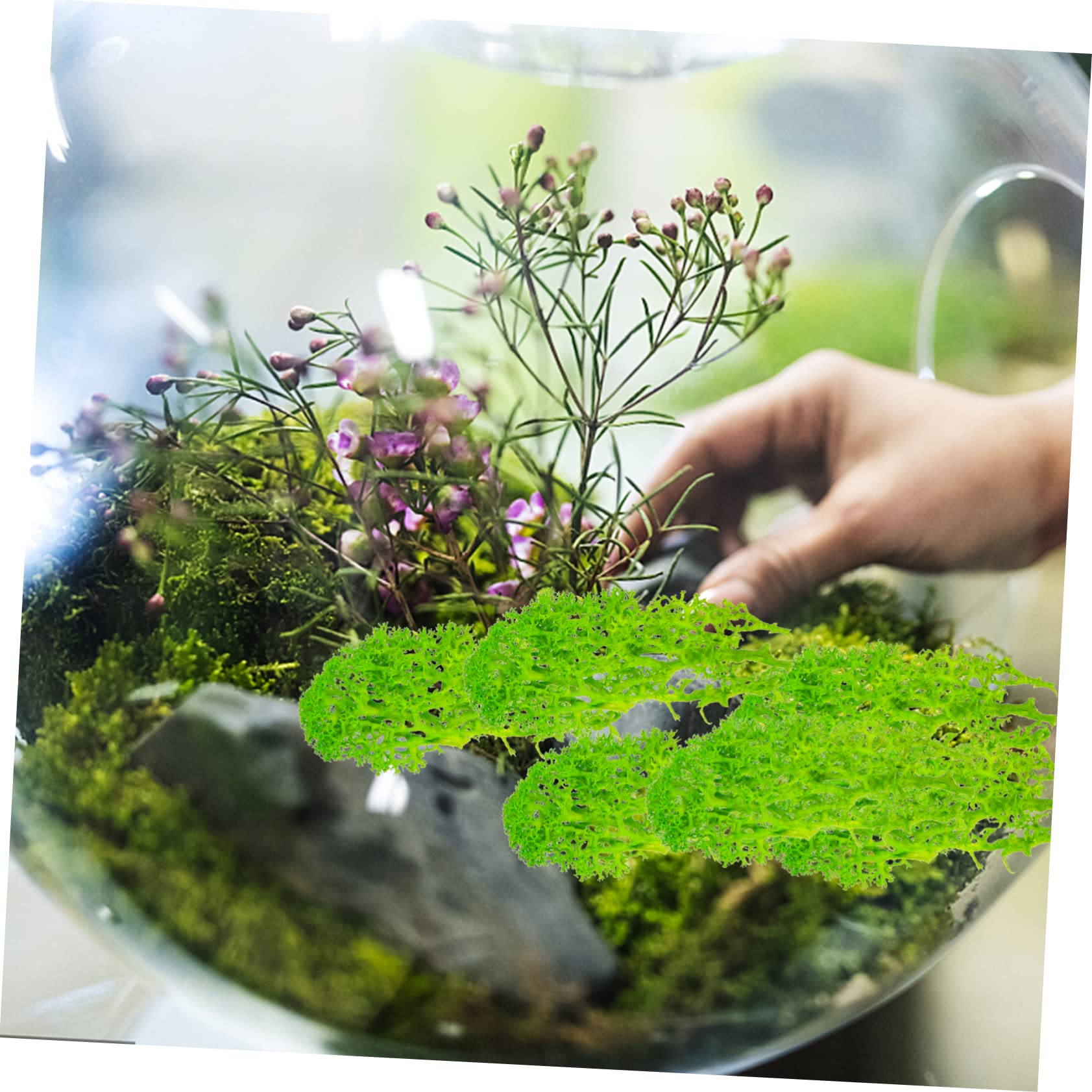 3sätze Künstliche Mooswanddekoration Lebendige Fake-moos-Pflanze Für Wandgestaltung Vielseitig Einsetzbar Für Büro Wohnzimmer Garten Und Hochzeiten Für Kreative -projekte