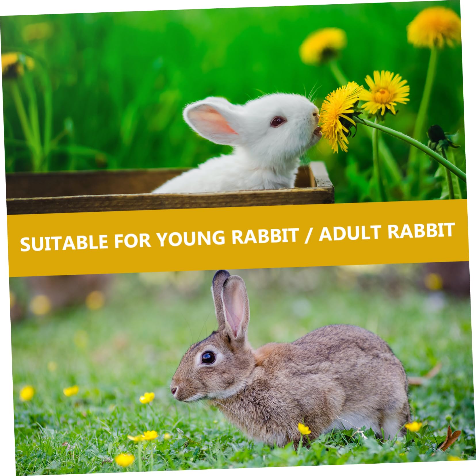 Housoutil 3sätze Kaninchen-Geschirr Und Leine Mit Warmem Hut Und Niedlicher Dekoration Geeignet Für Kleine Haustiere Wie Kaninchen Meerschweinchen Und Chinchillas Einfach Anzulegen Und