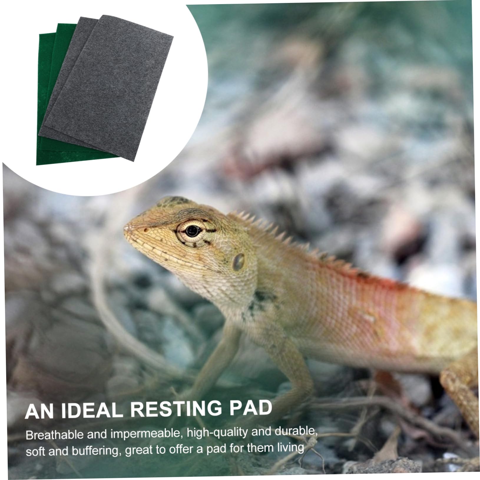 8stücke Reptile Teppich wasserdichte Und Saugfähige Unterlage Für Terrarien Für Schildkröten Eidechsen Schlangen Und Geckos
