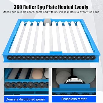 Digital Egg Incubator with Automatic Turner, Precise Temperature and Humidity Control for Hatching Chicken, Duck, Quail Eggs