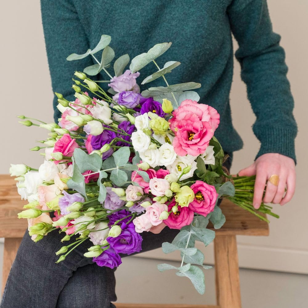 Bouquet de Lisianthus Rose Blanc Violet Fleurs Fraîches Saison Cadeau Anniversaire