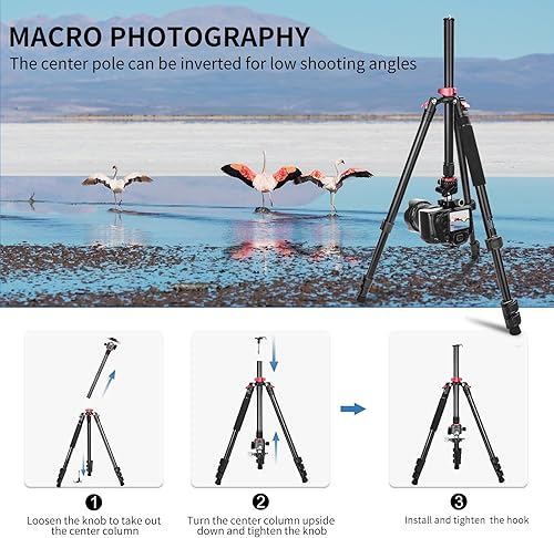 Miniatura 3 de CAVIX - Trípode de viaje CAVIX de 78 pulgadas para cámaras, trípode de 78 pulgadas, trípode ligero con cabezal de bola de 360 grados que carga hasta