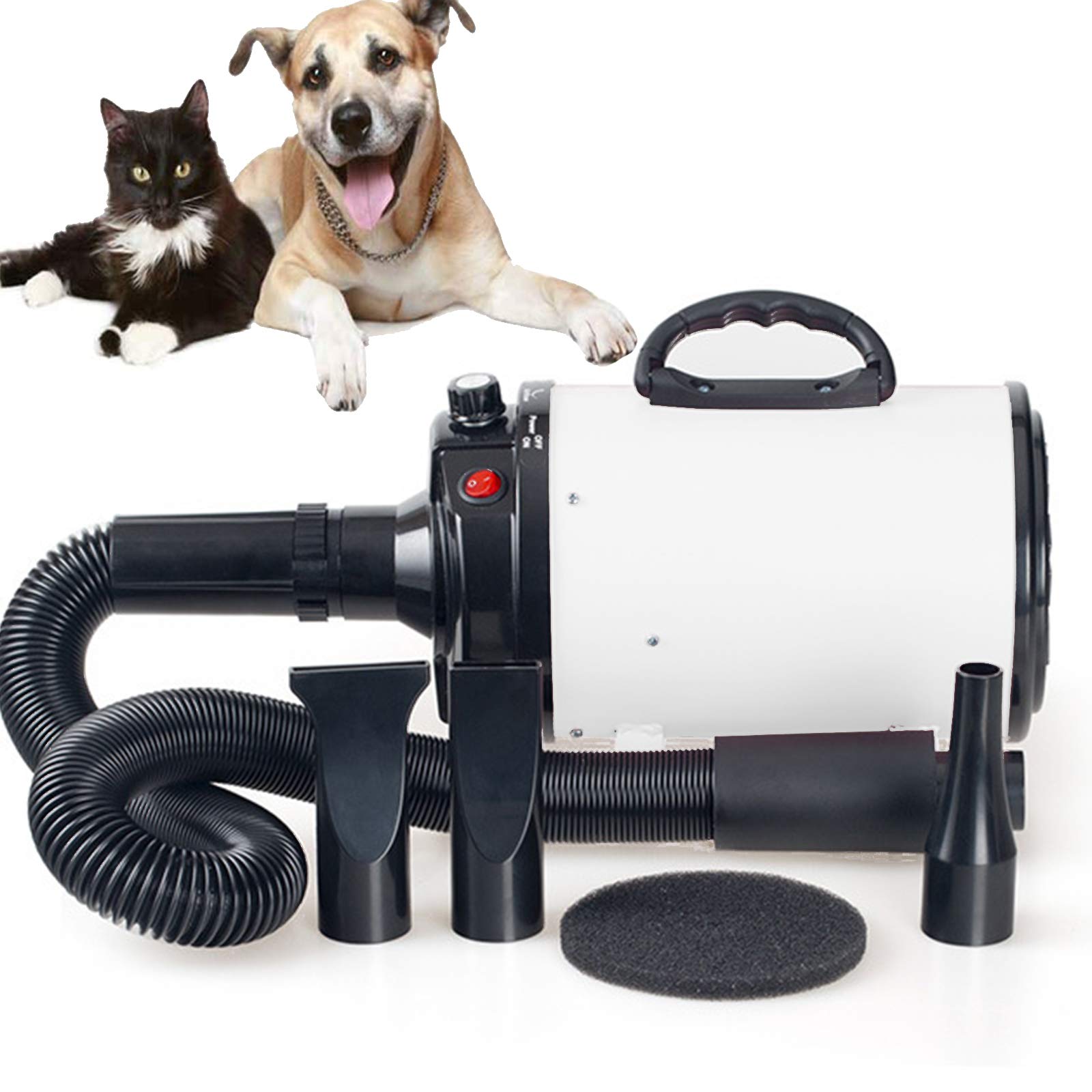 Séchoir Sèche-Poils Toilettage pour Chiens Chats Animaux 2400W Stepless Vitesse Réglable Soufflant Machine De Toilettage avec Chauffage avec Tuyau, 3 Buses en Option