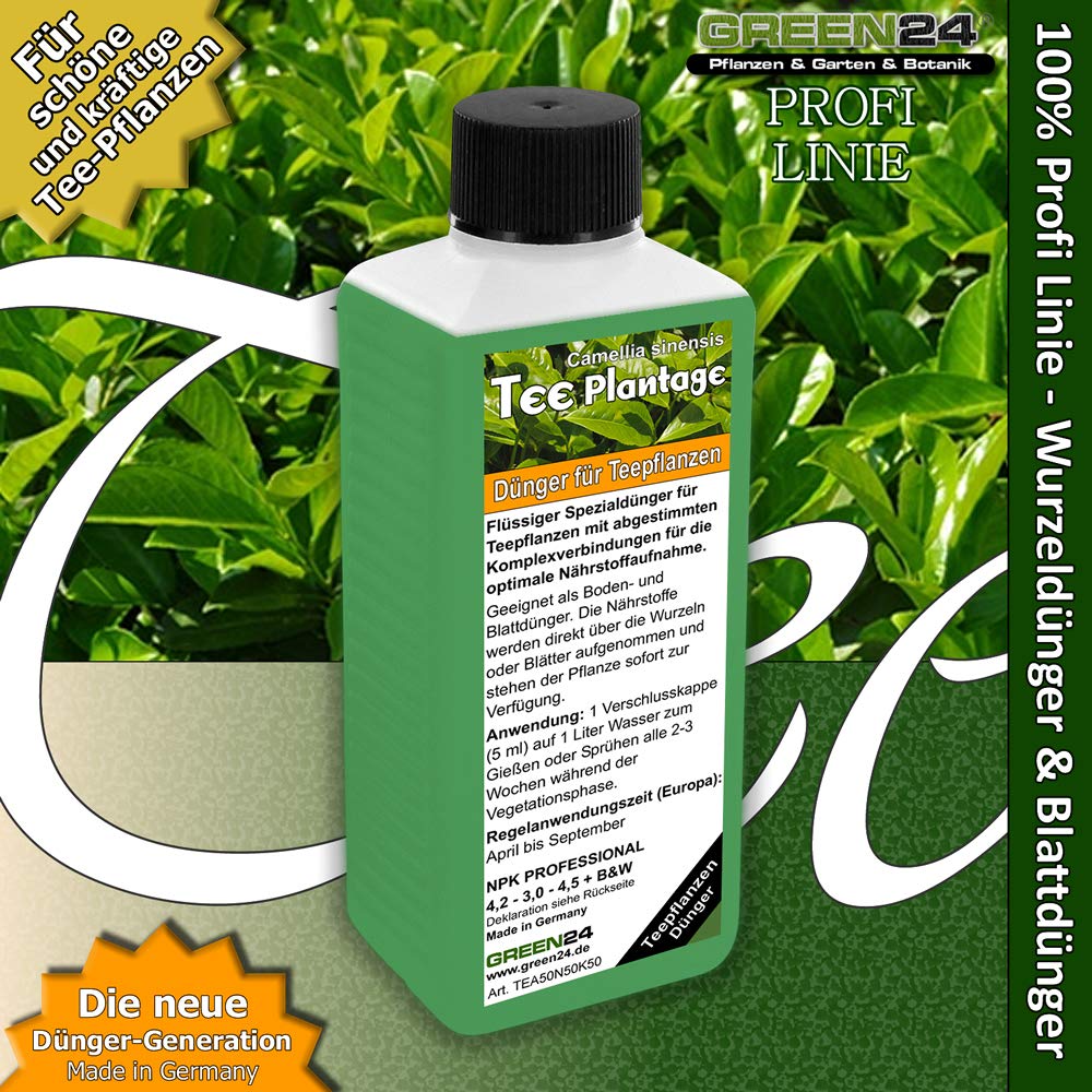 GREEN24 Teepflanzen-Dnger Tee, Camellia sinensis dngen, Premium  Flssigdnger aus der Profi Linie : Amazon.de: Garten