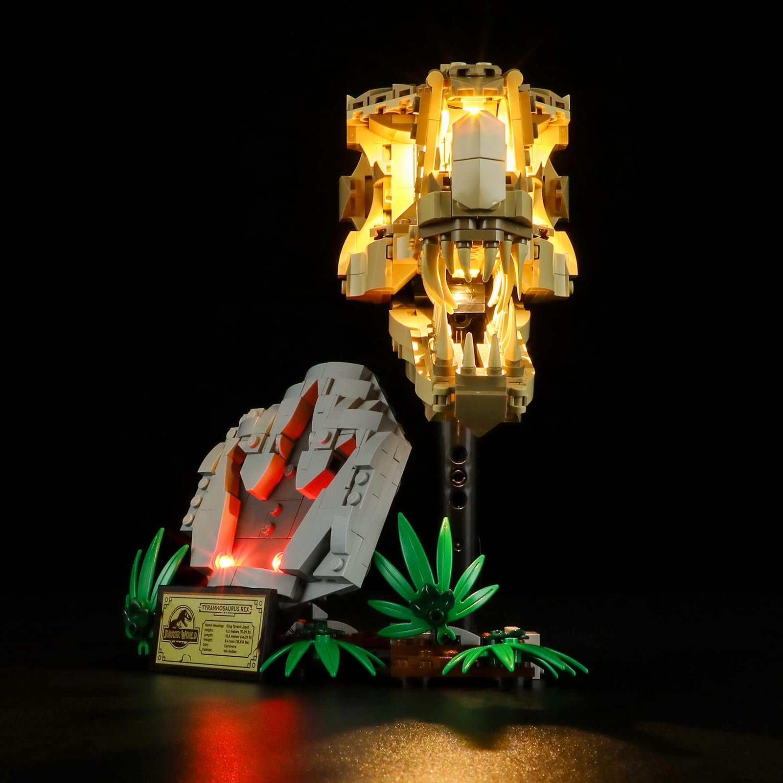 LIGHTAILING Light for Lego- 76964 Dinosaur Fossils: T. rex Skull, Led Lighting Kit Compatible with Lego Building Blocks Model - Image 2