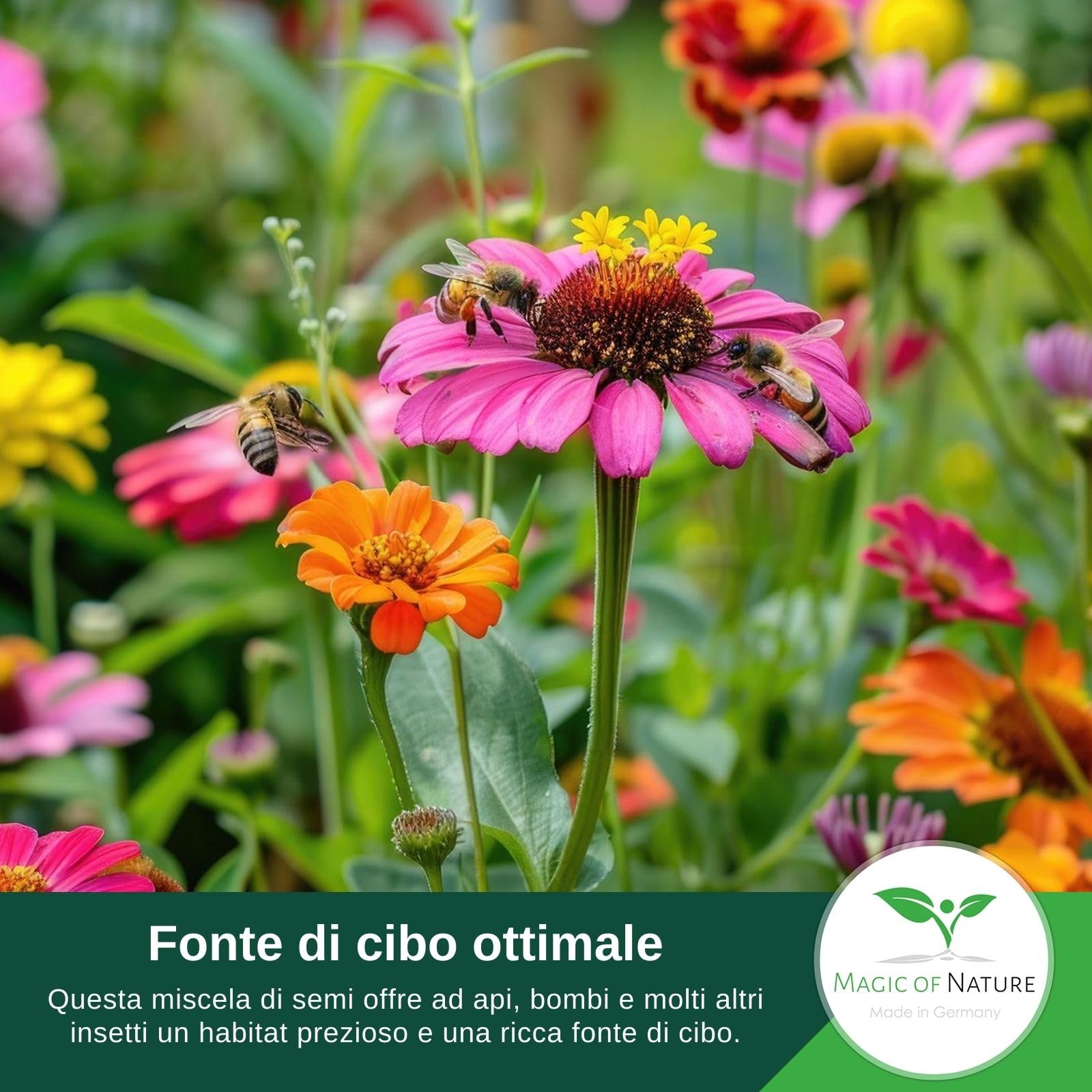 Magic of Nature: Miscela di Semi di fiori - Paradiso delle Api 1 kg | Facile da usare - Pascolo per api in fiore - Consigli per la semina - Per 300-500 m²