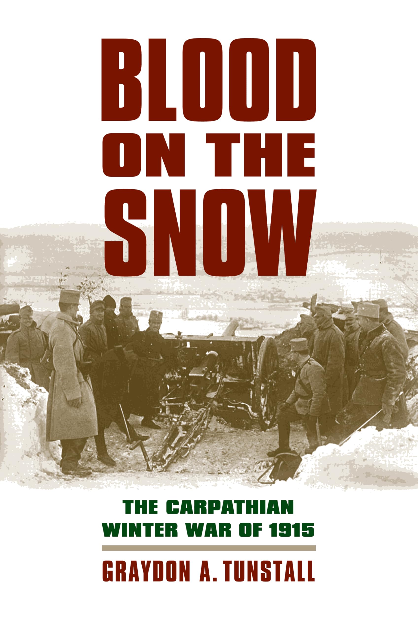 Blood on the Snow: The Carpathian Winter War of 1915 (Modern War Studies)