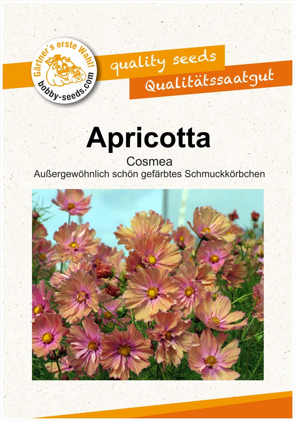 Blumensamen Apricotta Cosmee Portion