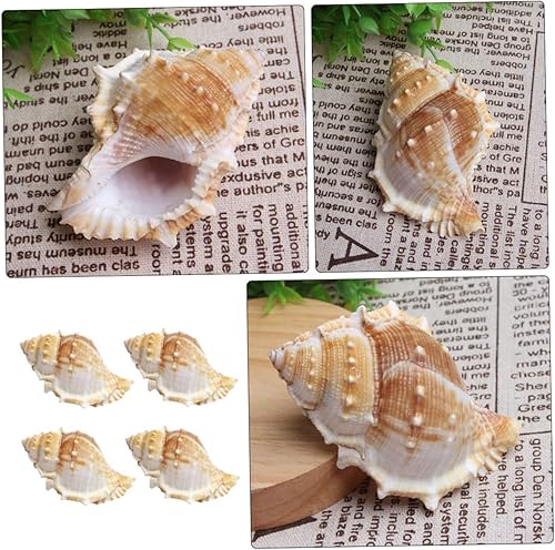 Miniatura 3 de Garneck 32 piezas de decoración de boda mariposas decoración de peces acuario decoración de caracolas escultura jarrón relleno caracolas adornos DIY