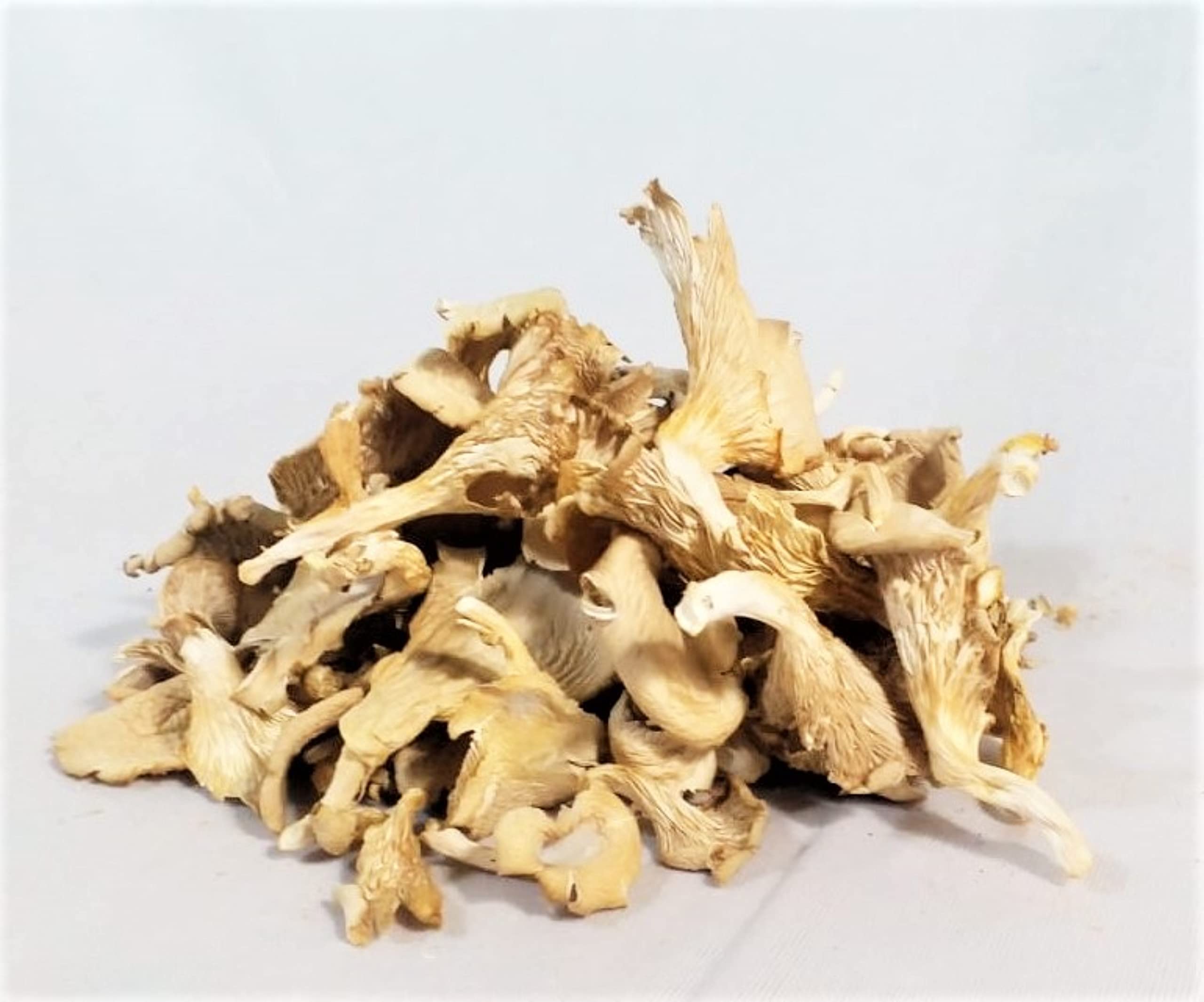 Naturally Dried Oyster Mushroom | Superfood | Nirvana Fresh (500) (B0BZZMS6J4) Amazon Price History, Amazon Price Tracker
