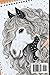 Gypsy Vanner Coloring Book