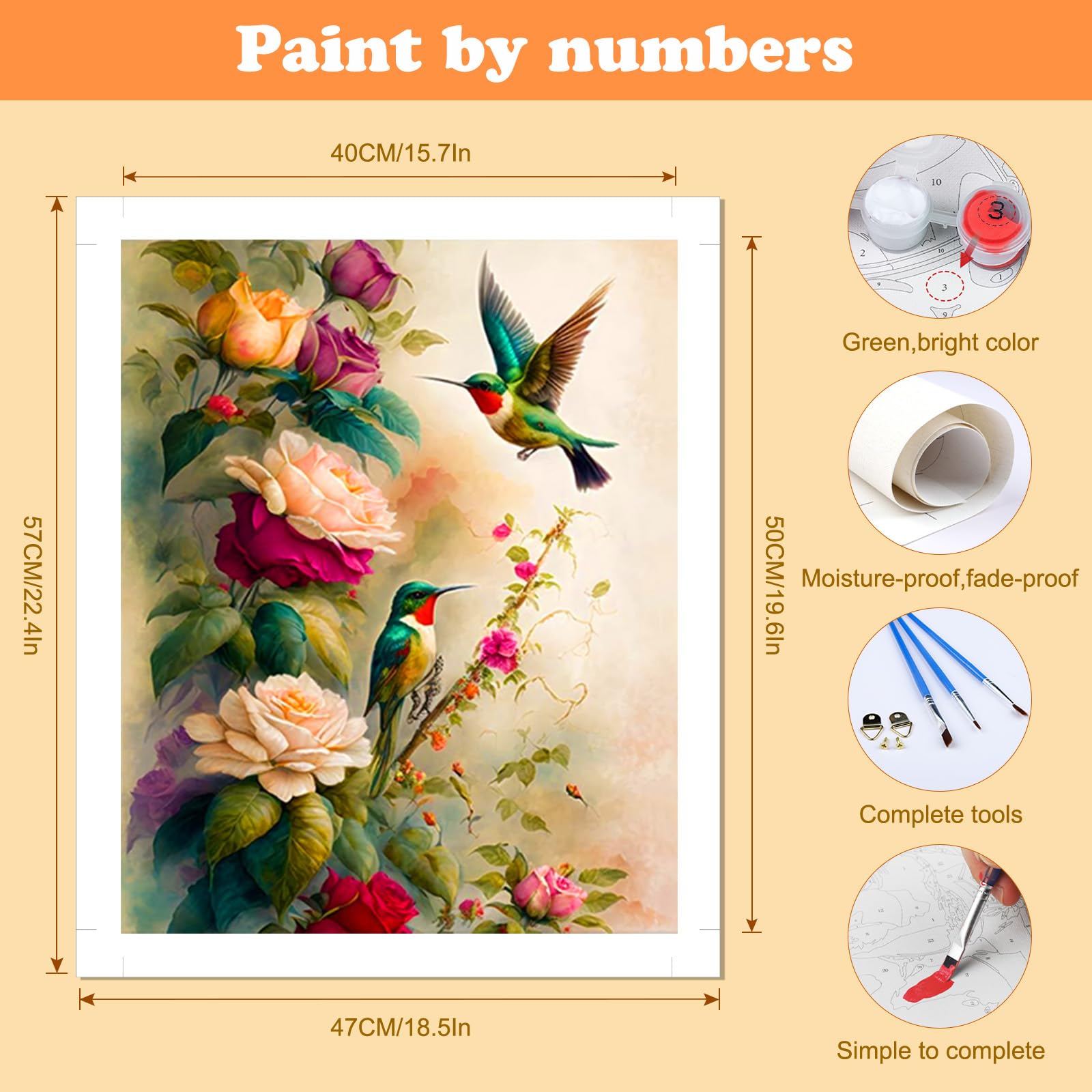Kit De Pintura Por Números Para Adultos | Lienzo De 40x50 Cm Sin Marco | Incluye Pinturas Acrílicas Y Pinceles | Arte Decorativo Para El Hogar