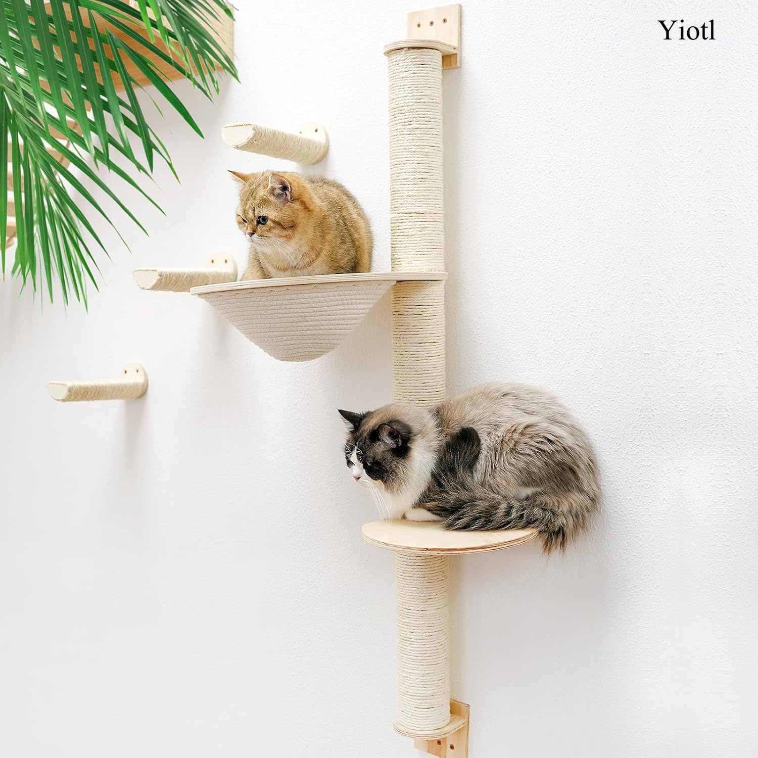 Cat Wall Mounted Scratching Post, Cat Shelves with Wood Steps and Woven Hammock, Cat Activity Tree with Scratching Posts and Three Steps