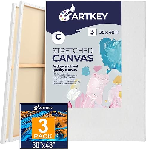 Miniatura 44 de Lienzos estirados para pintar de 24 x 36 pulgadas, paquete de 2, 12.3 onzas, triple imprimado sin ácidos, 100% algodón, lienzos grandes para pintura