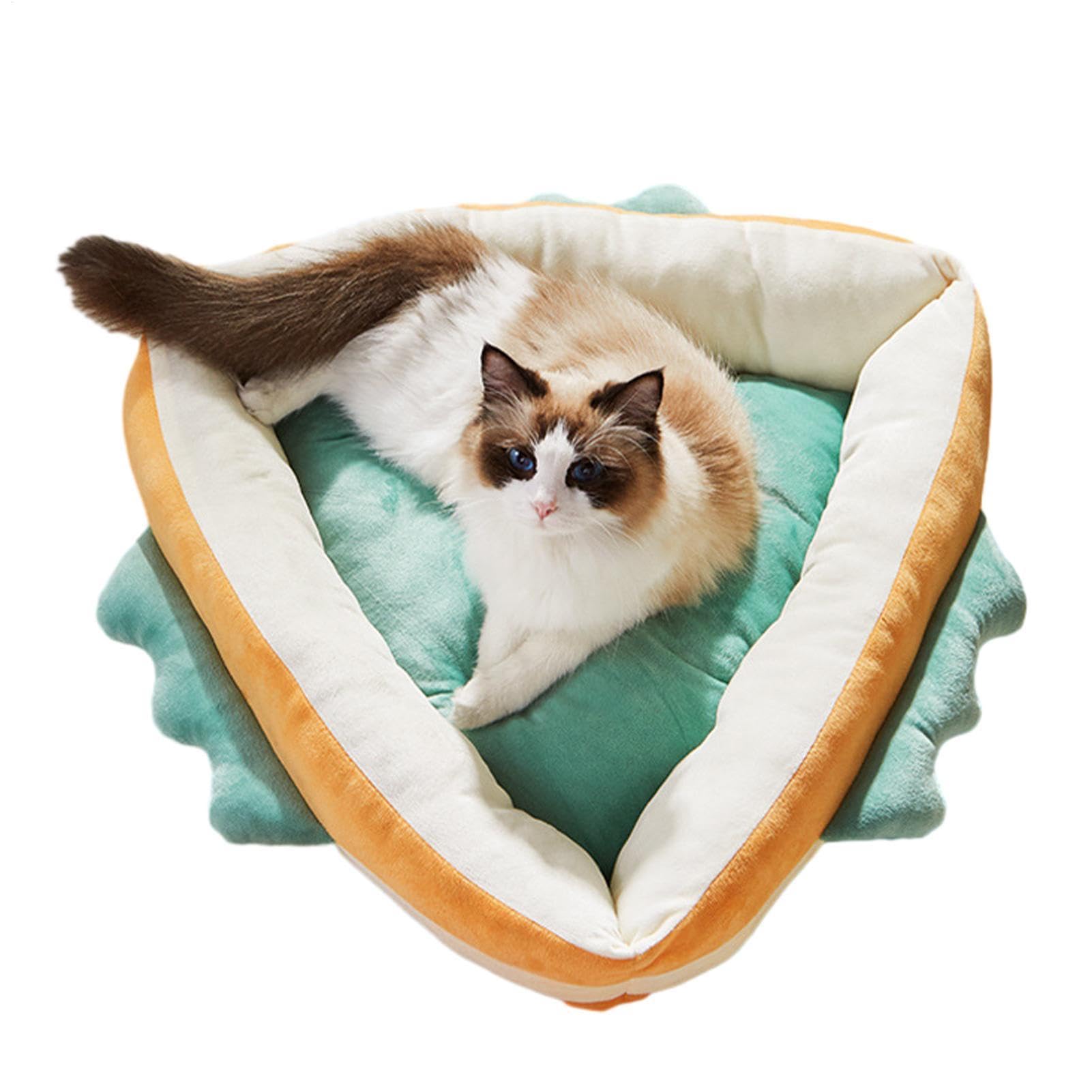 Coussin pour chat dinosaure d'intérieur et tapis pour petit chat