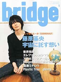 Amazon.co.jp: bridge (ブリッジ) 2011年 01月号 [雑誌] : 本