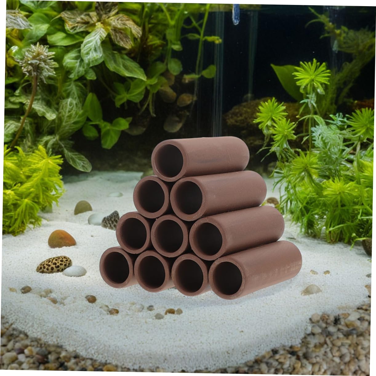 COLLBATH 2pcs Grotte Cachette Aquarium en Poterie Abri Élevage Crevettes et Poissons Décor Stérilisé