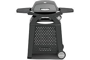 Small Patio Propane Grills Portable Tabletop Barbecue Grill