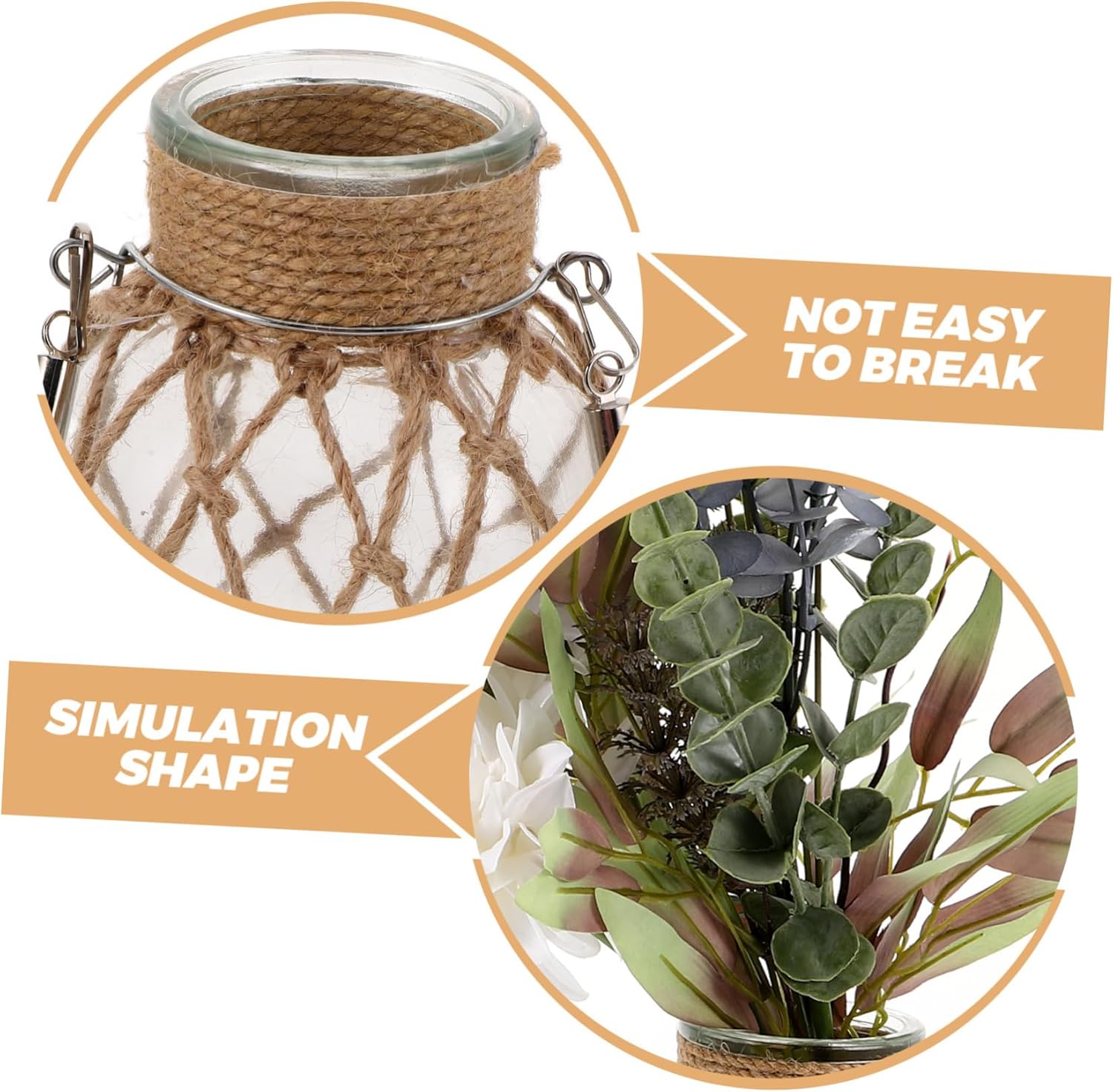 Modern Minimalist Transparent Glass Vase for Hydroponic Plants and Fresh Florals Height Multiuse Decorative Vase for Home Office and Study Decor