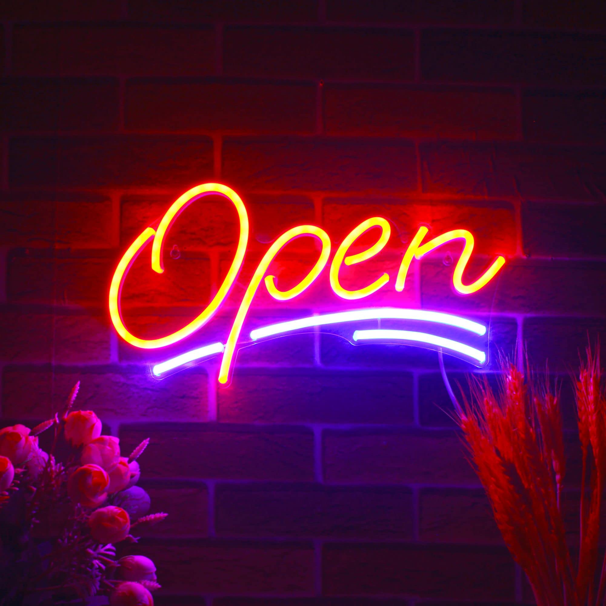 Amazon.com : ADVPRO Open Sign Flex Silicone LED Neon Sign - Blue