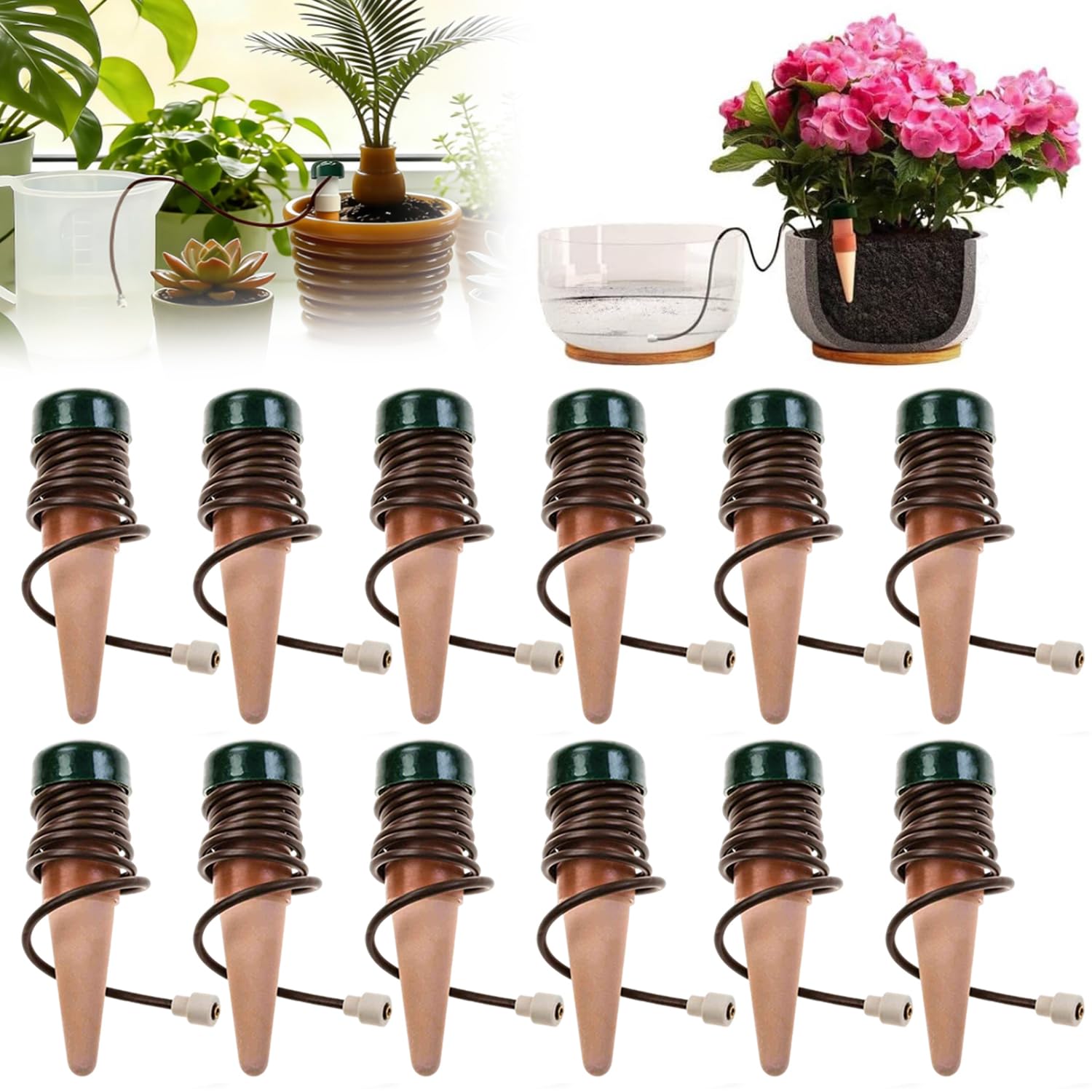 Distributeur d'eau plante intérieur et oyas jardin Système arrosage automatique pot de fleur