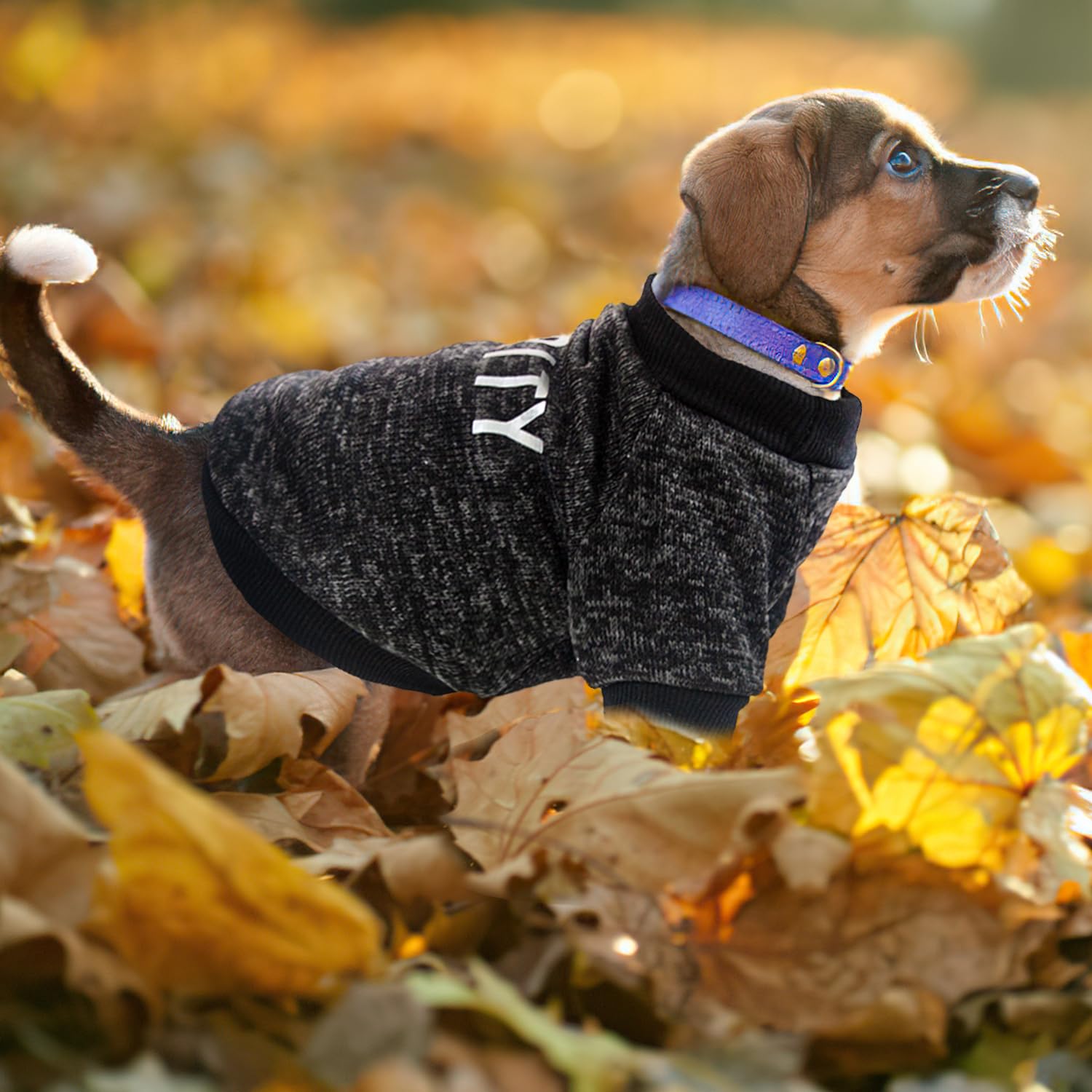 Black Dog Hoodie Pack Black Security Dog Sweatshirt Fleece Dog - Main Image